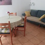 شقة Burcul Pag باغ